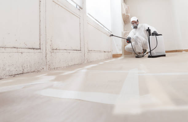 24/7 Emergency Attic Mold Remediation experts in Sanford, FL